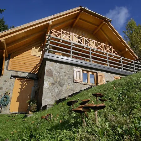 Alpstuga Charming Rogla Hudinja